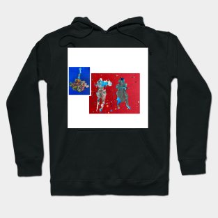 Fairy warriors Hoodie